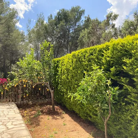 Apartamentos Pinosol Santa Eulária des Riu Quarto foto
