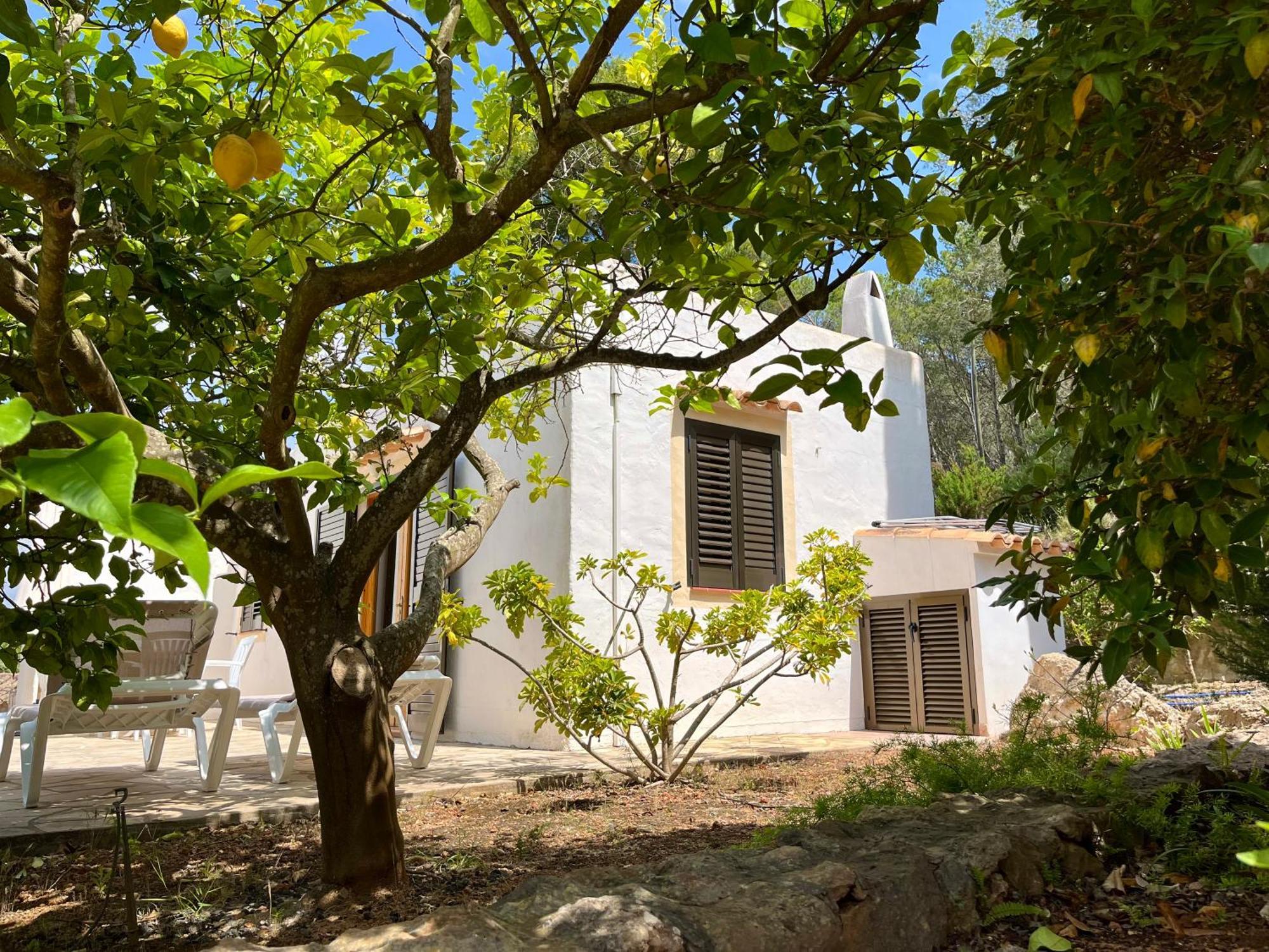 Pinosol Estada en una granja Santa Eulària des Riu